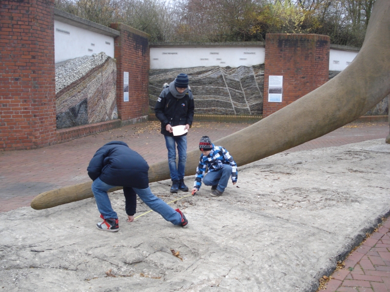 EinStein ExkursionNo03