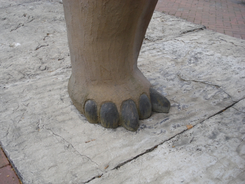 EinStein ExkursionNo07