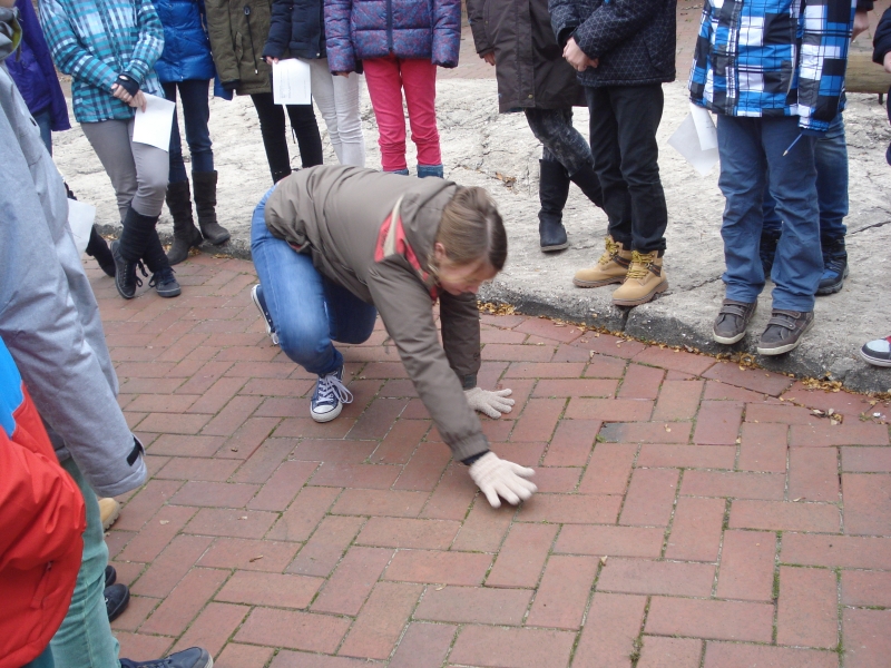 EinStein ExkursionNo08