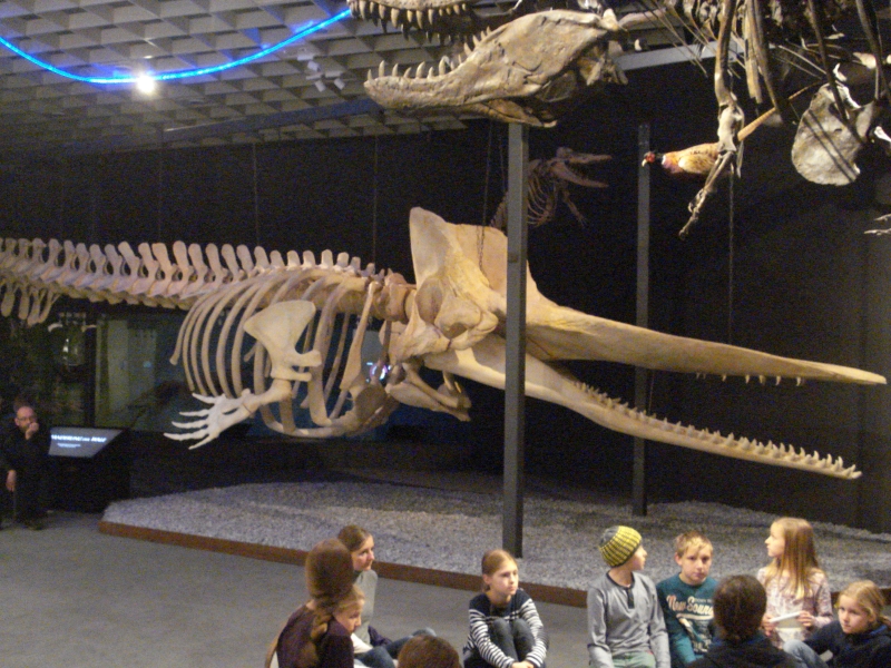 EinStein ExkursionNo11