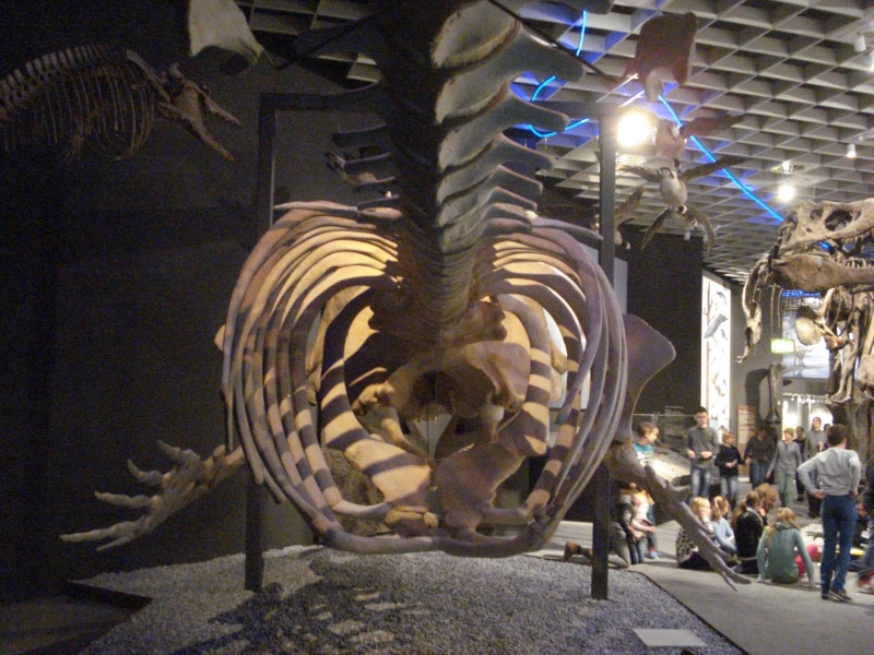 EinStein ExkursionNo12