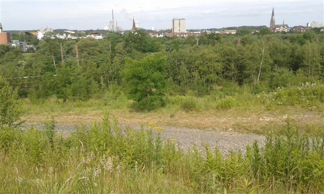 Einstein Exkursionr2015No01