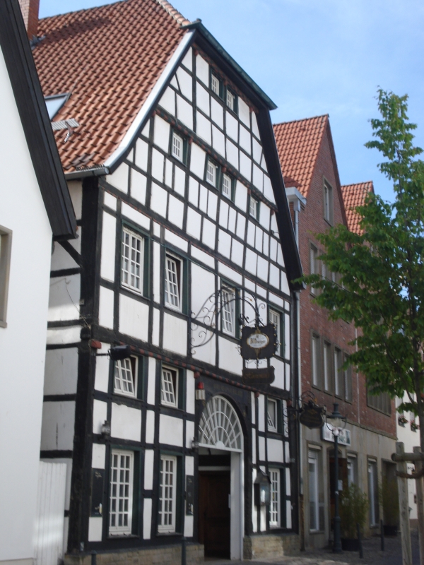 Einstein Exkursionr2015No06