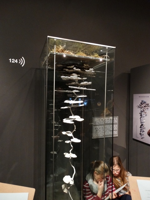 EinsteinexkursionNo04