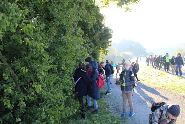 2015Baumpflanzung003