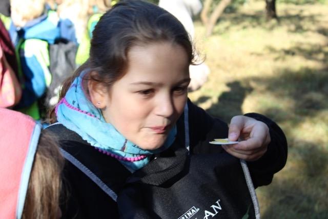 2015Baumpflanzung013