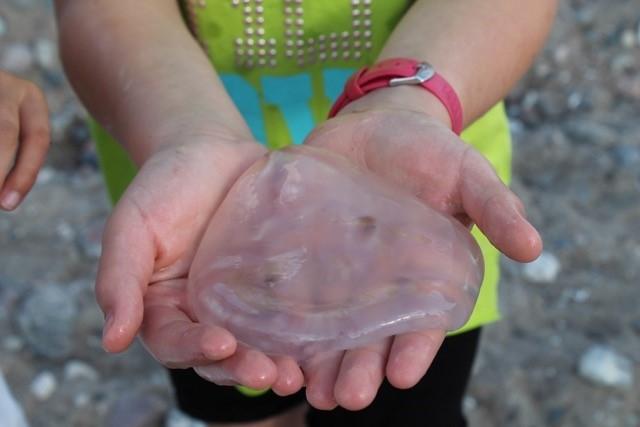 Schoenhagen2015Klasse6No03