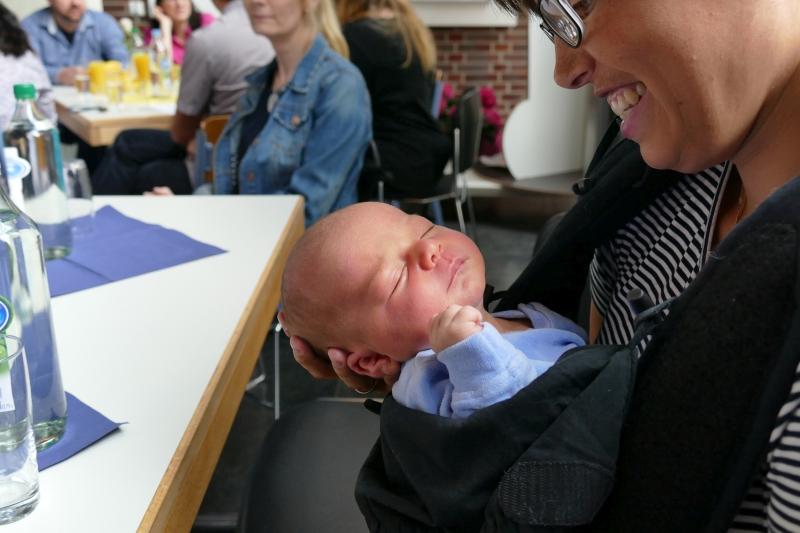 2017-letzteSchollisNo02