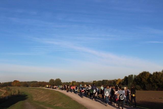 1819BaumpflanzungNo01