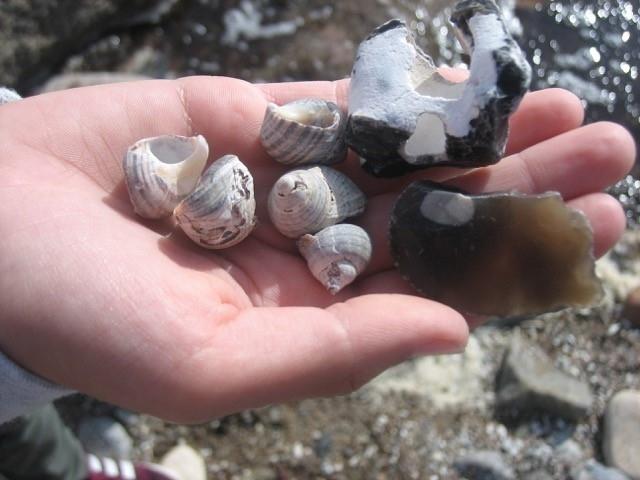 Schoenhagen2018Tag2No06